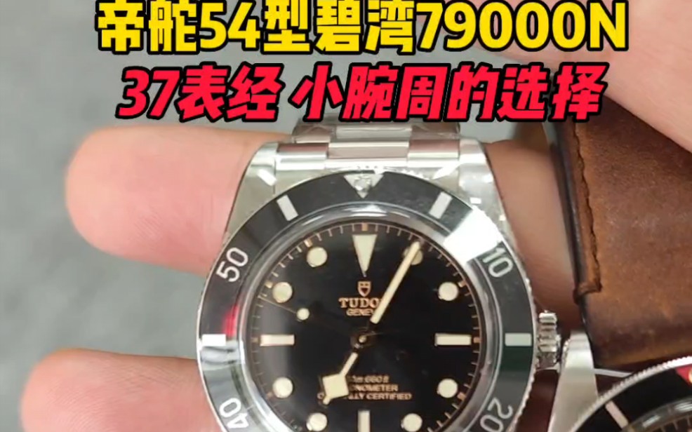 帝舵1954型帝舵碧湾系列M79000N小腕周的选择37毫米表经!帝舵碧湾怎么样?哔哩哔哩bilibili