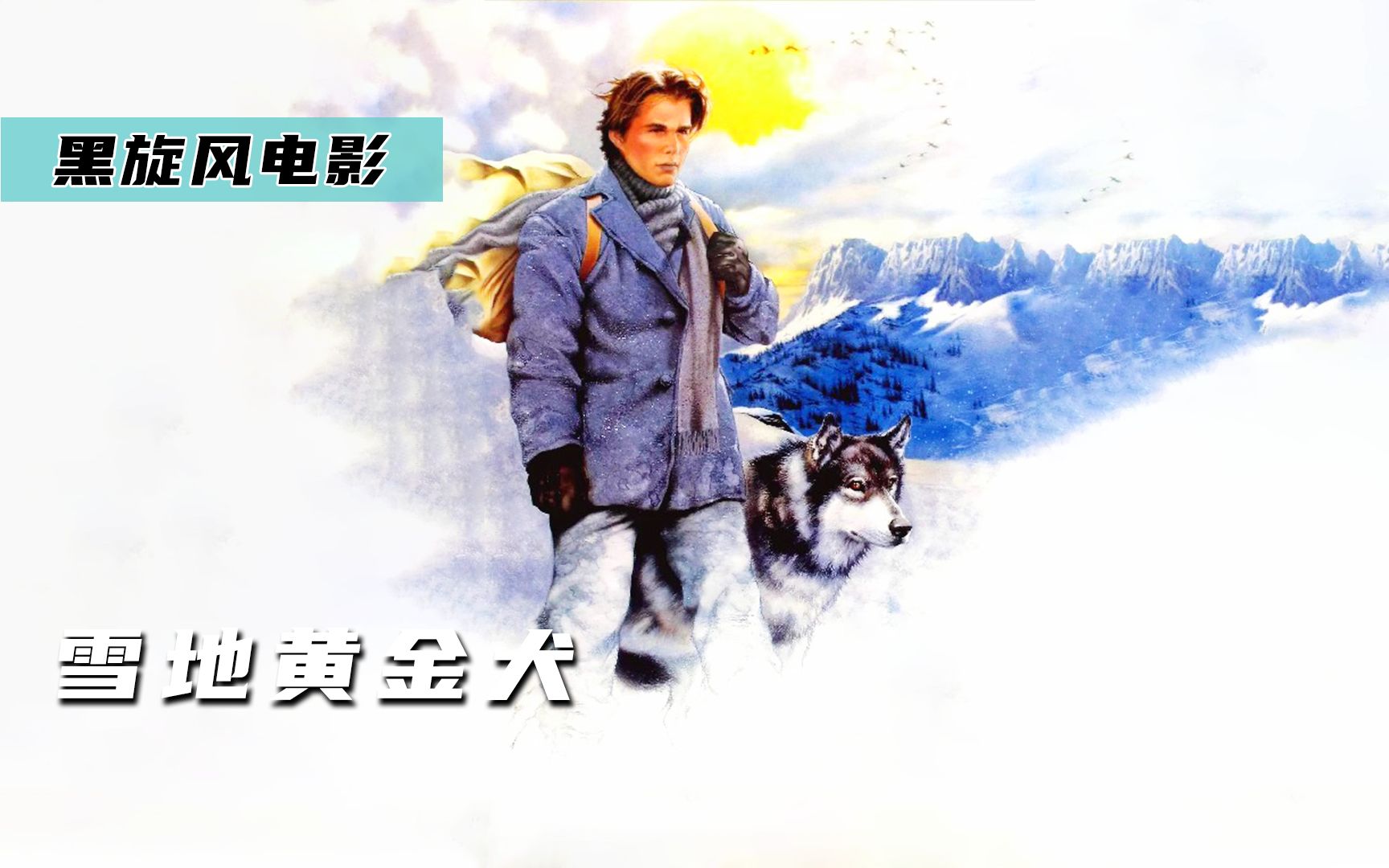 雪地黄金犬国语电影图片