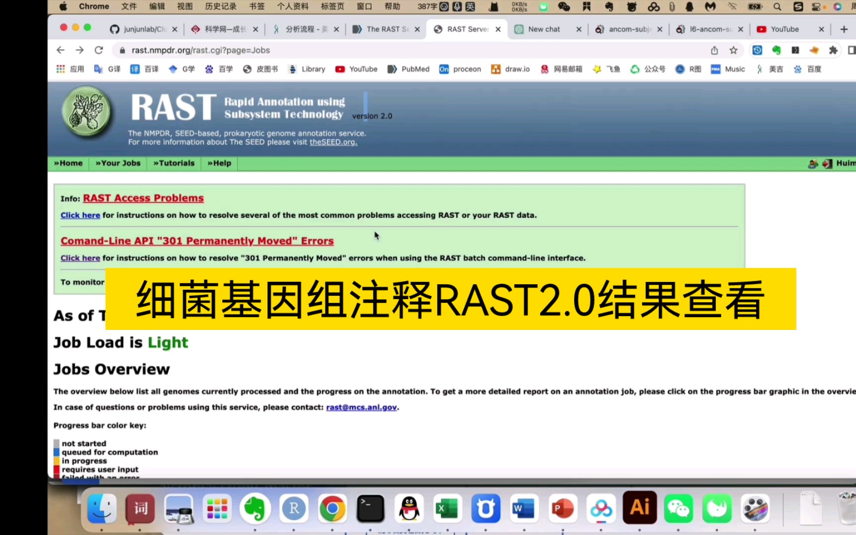 细菌基因组RAST2.0结果查看查看哔哩哔哩bilibili