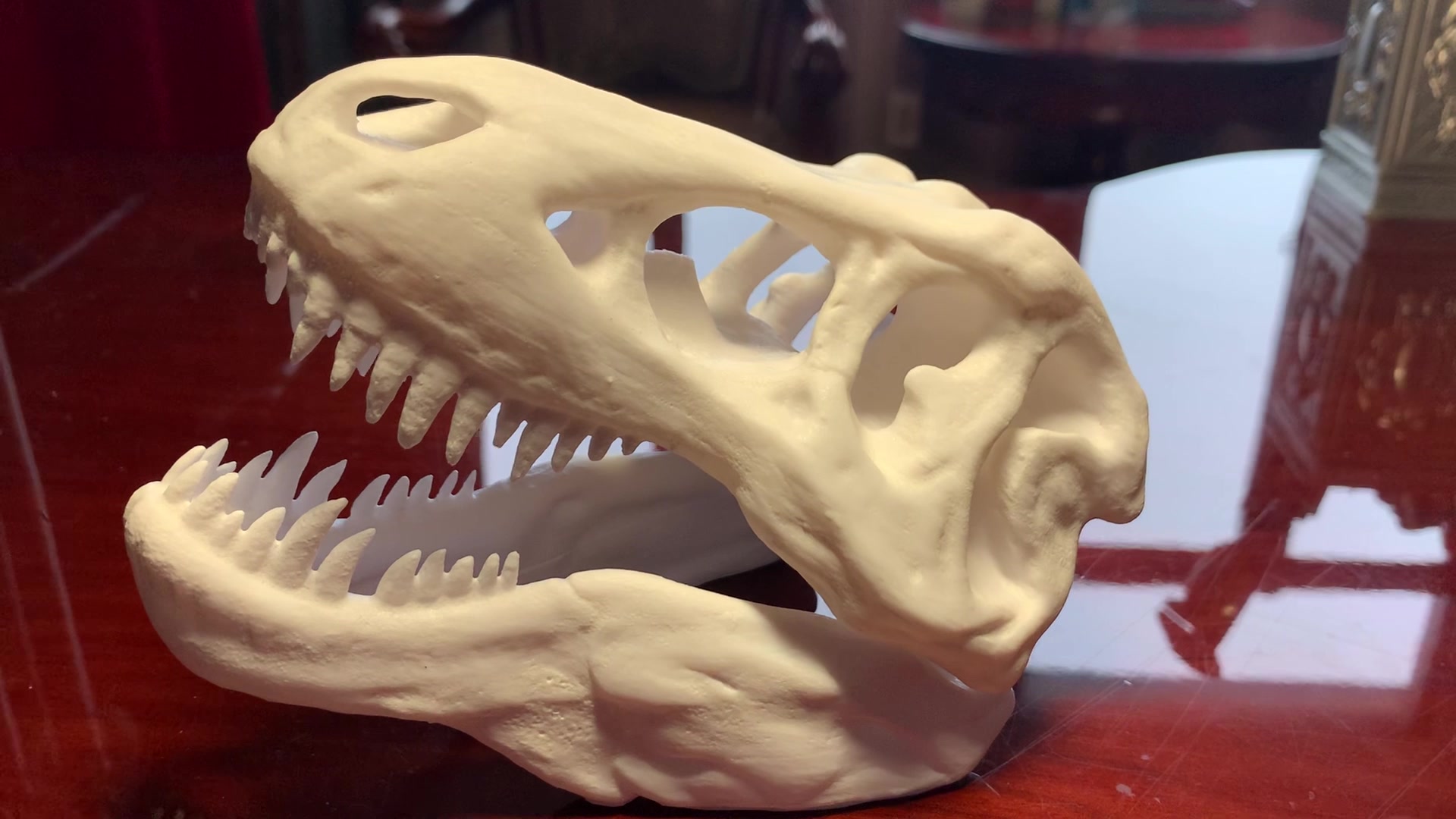 2020/07/17霸王龙头骨打印