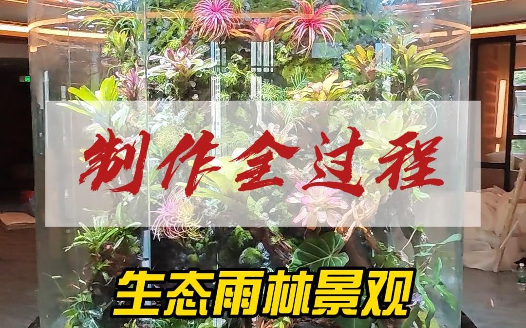 生态雨林景观制作全过程哔哩哔哩bilibili