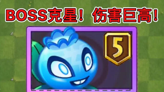 5阶电击蓝莓测评!5阶真的是boss克星啊!