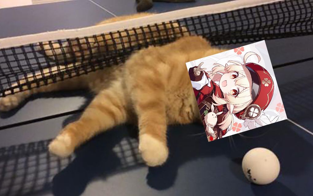 专业乒乓球手——琴团长_哔哩哔哩 (゜-゜)つロ 干杯~-bilibili