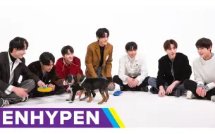 Скачать видео: 【EN手册中字】230207 [BuzzFeed Celeb] ENHYPEN: The Puppy Interview 和小狗们一起进行的治愈采访