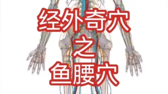 Descargar video: 经外奇穴之鱼腰穴