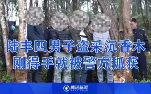 下载视频: 陆丰四男子盗采二十斤沉香木致百万损失 刚得手就被警方抓获