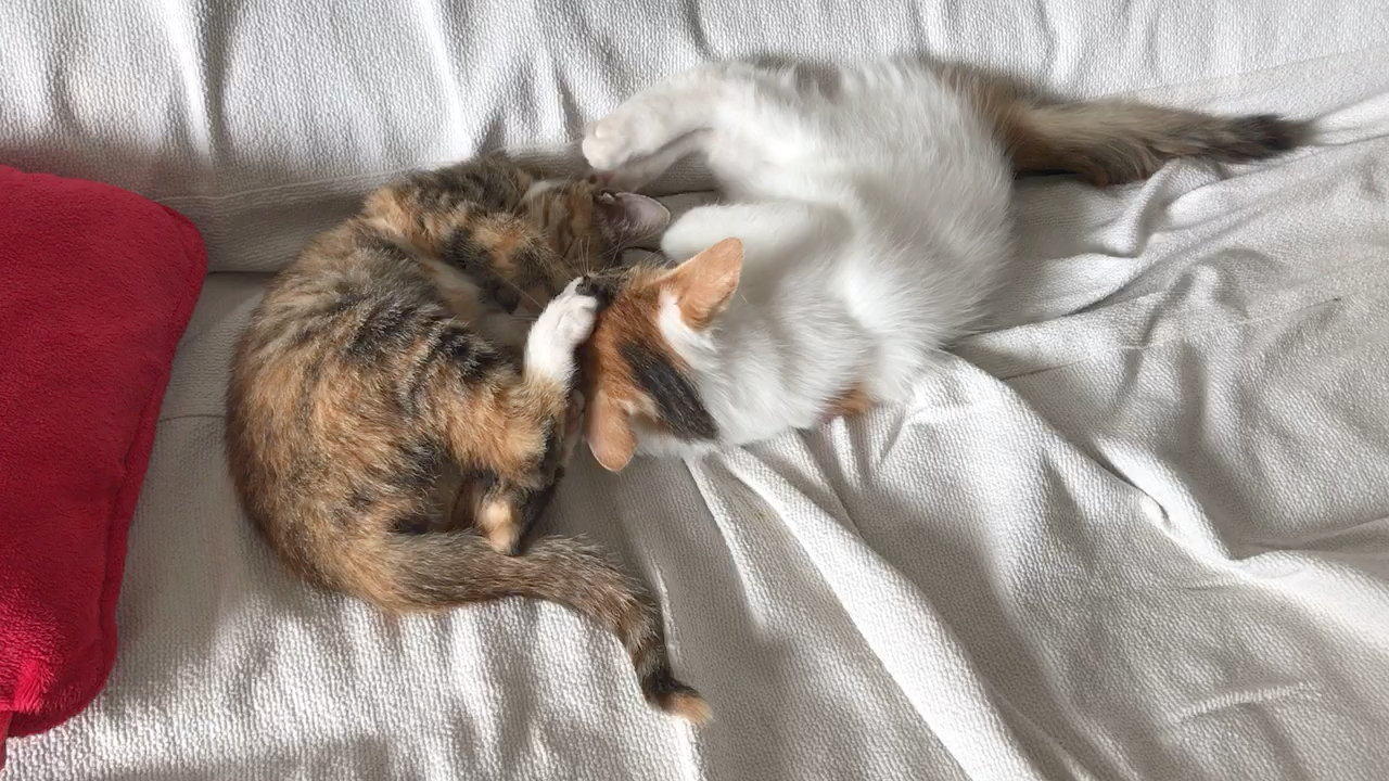 咱俩一起睡觉觉