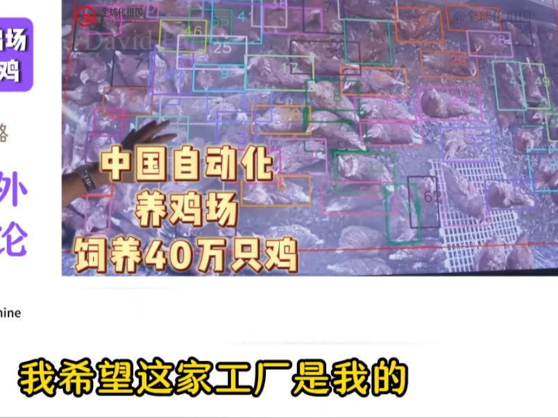 中国自动化养鸡场,饲养了40万只鸡.德国网友:我希望这家工厂是我的哔哩哔哩bilibili