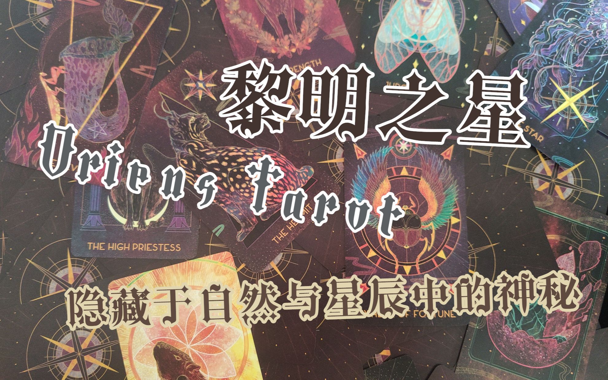 【塔罗展示】黎明之星塔罗牌303930363530 353239