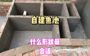 下载视频: 自建鱼池什么形状最合适？用哪种过滤方式最合理？