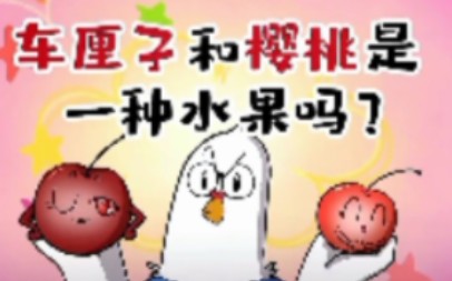 [搬运]车厘子和樱桃是一种水果吗?哔哩哔哩bilibili