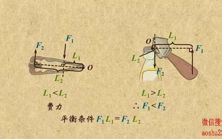 15. 区分省力杠杆、费力杠杆、等臂杠杆哔哩哔哩bilibili