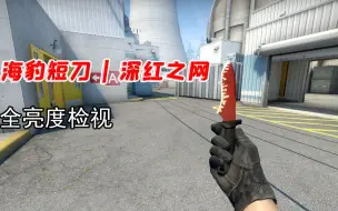 【CSGO】最好磨损的海豹短刀 | 深红之网推荐 附带游戏中检视