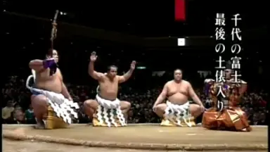 千代大海-哔哩哔哩_Bilibili