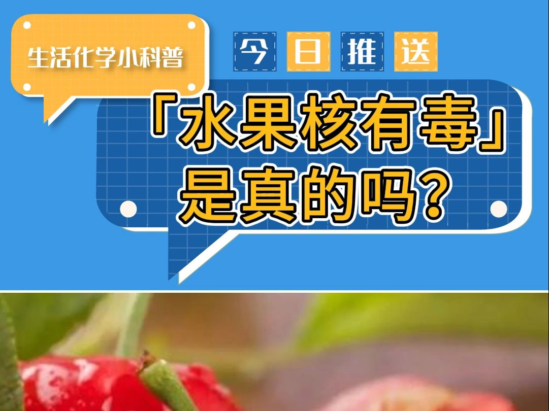 这几种水果有你爱吃的吗?哔哩哔哩bilibili