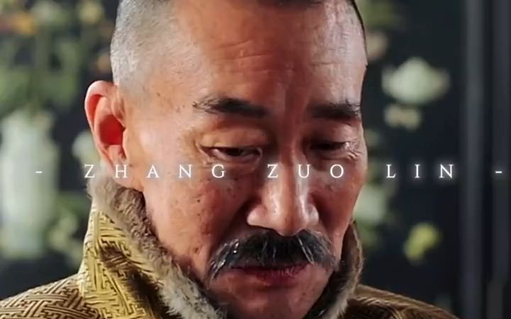 "张作霖 "李雪健 物有阴阳 事有缓急