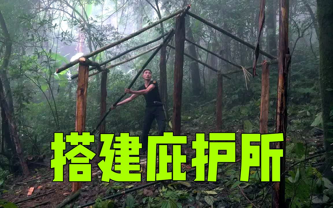 [图]【苏门，第6集】热带雨林原始生存，丛林中搭建安全的庇护所！
