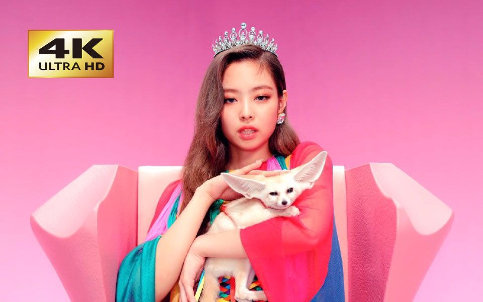 [4k] blackpink - ddu-du ddu-du (官方mv)