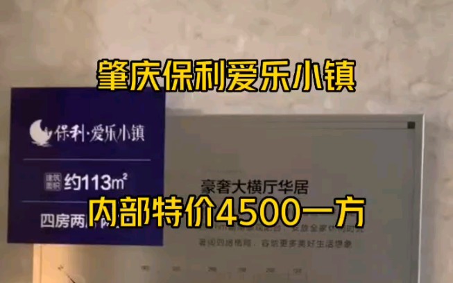 肇庆大旺保利爱乐小镇,113平方,内部特价低至4500一方!带装修!哔哩哔哩bilibili