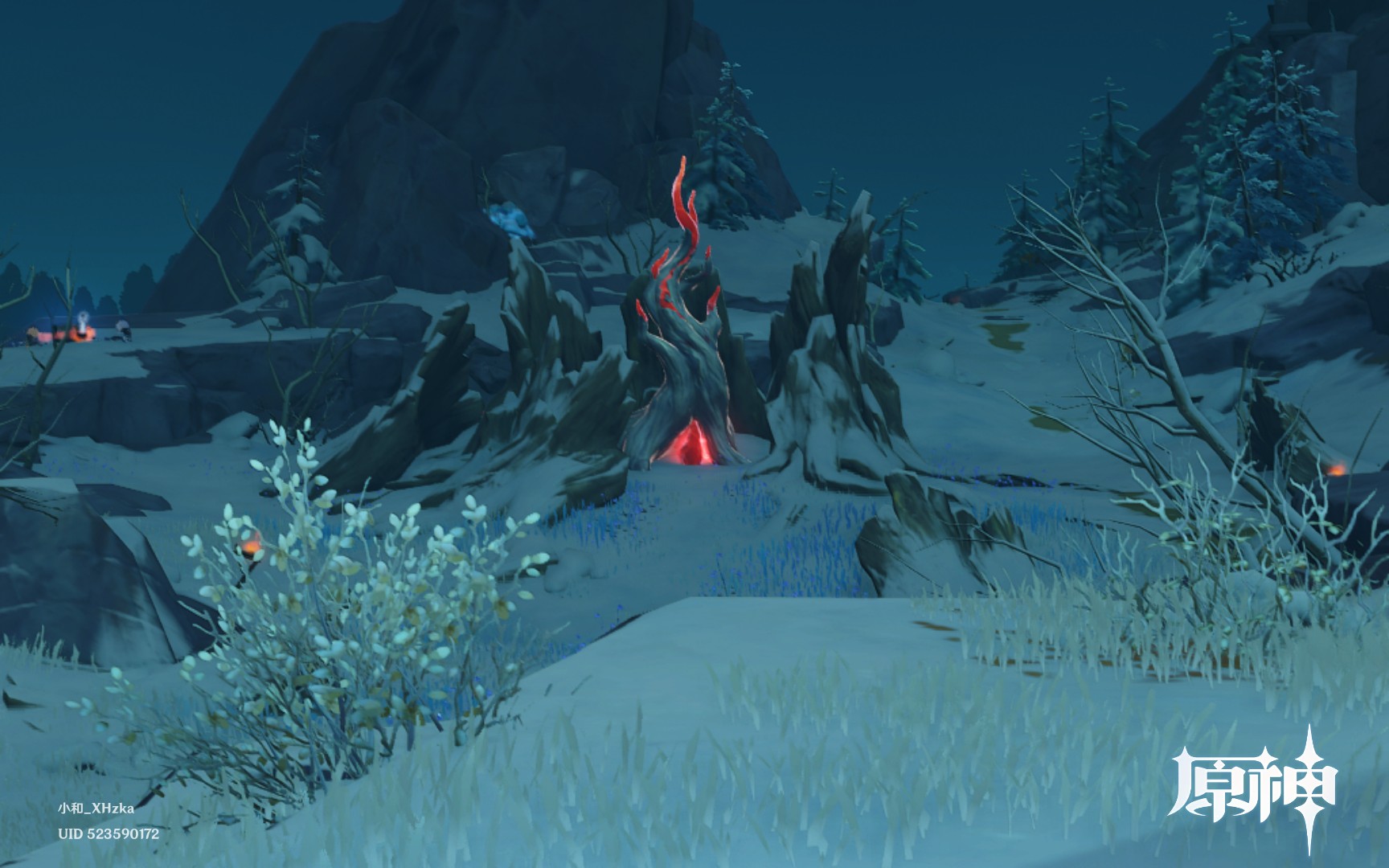 忍冬之树,苏醒【原神】(必剪录屏)