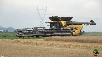 Video herunterladen: 小麦收割 | 纽荷兰（New Holland）CR11+MacDon FD245（13.7m）