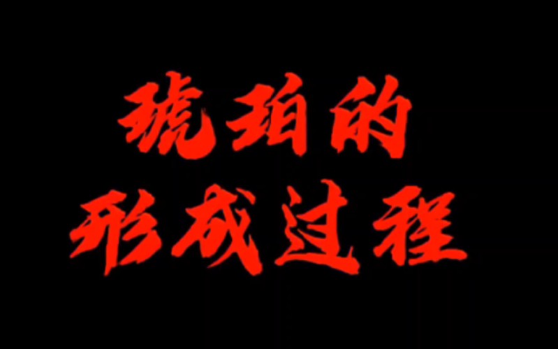 琥珀的形成过程,每天一分钟了解文玩知识,你不亏!哔哩哔哩bilibili