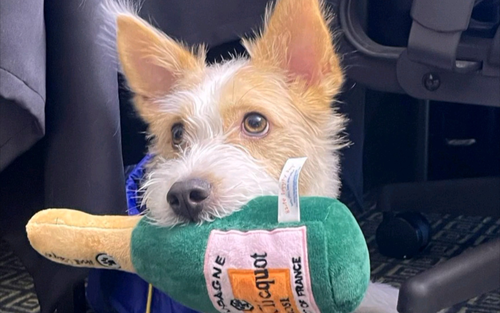 【朴彩英】220114 hank_says_hank更新 sns前两张配文:我是谁我在哪