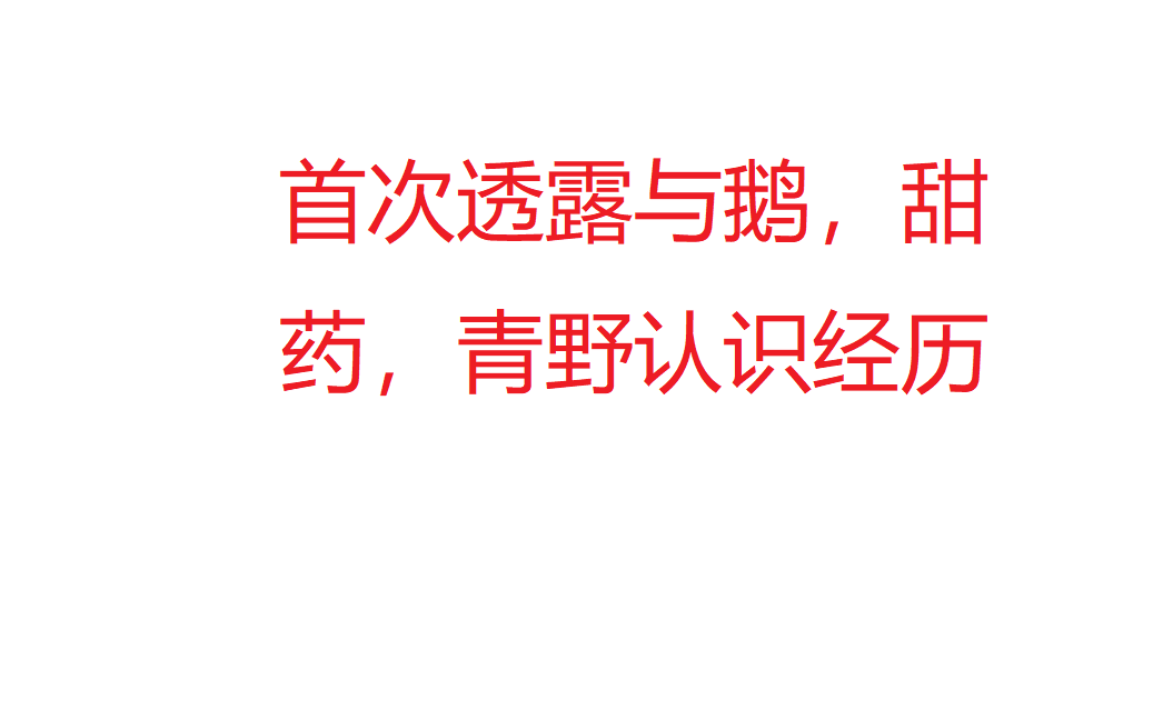 【APEX/荔枝】爆出和鹅甜药青野认识经历?荔枝的顶级叠词词!网络游戏热门视频