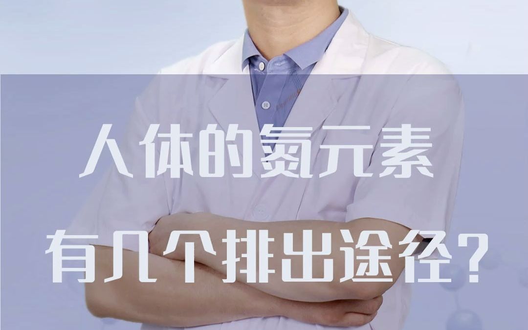 人体的氮元素有几个排出途径?哔哩哔哩bilibili