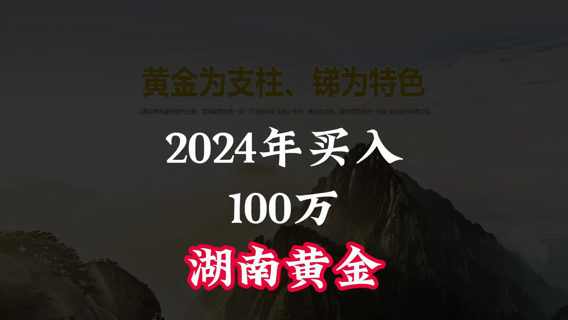 太燃了,2024年买入100万湖南黄金,这个收益能排第几哔哩哔哩bilibili