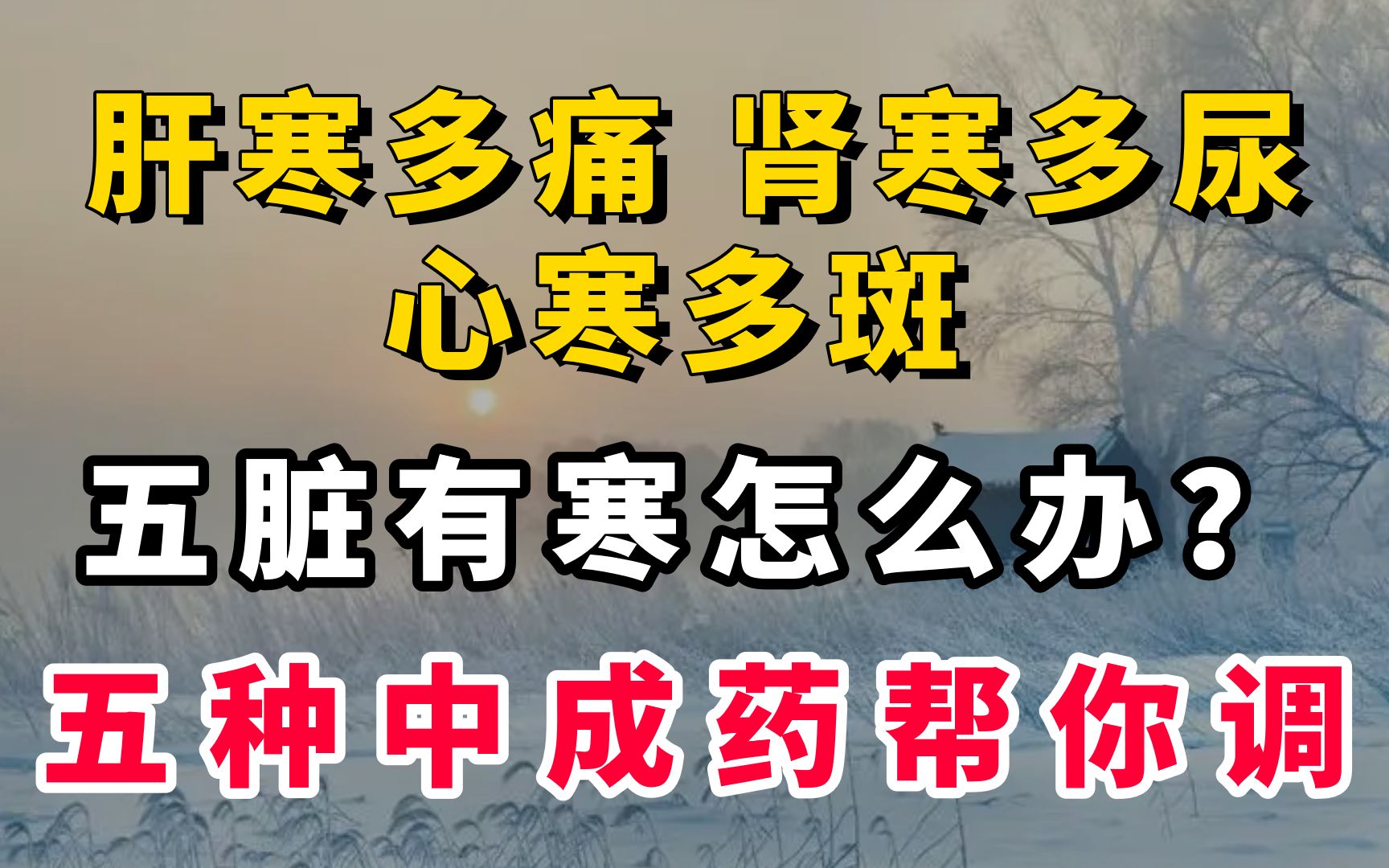 肝寒多痛、肾寒多尿、心寒多斑,五脏有寒怎么办?五种中成药帮你调哔哩哔哩bilibili