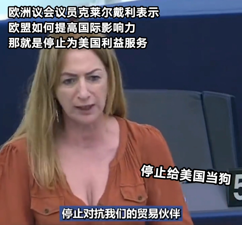 欧洲议会议员克莱尔戴利表示,欧盟如何能提高国际影响力?