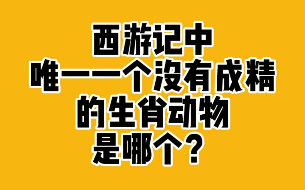 西游记中唯一一个没有成精的生肖动物是什么?哔哩哔哩bilibili