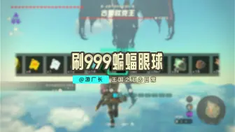 Descargar video: 【塞尔达传说：王国之泪】快速刷取999蝙蝠眼球！萌新上手就会！