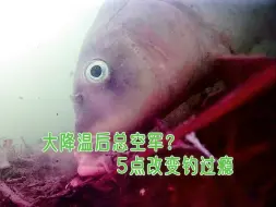 Descargar video: 秋季大降温怎么钓到更多的鱼？高清相机看清鱼情，5点改变钓过瘾