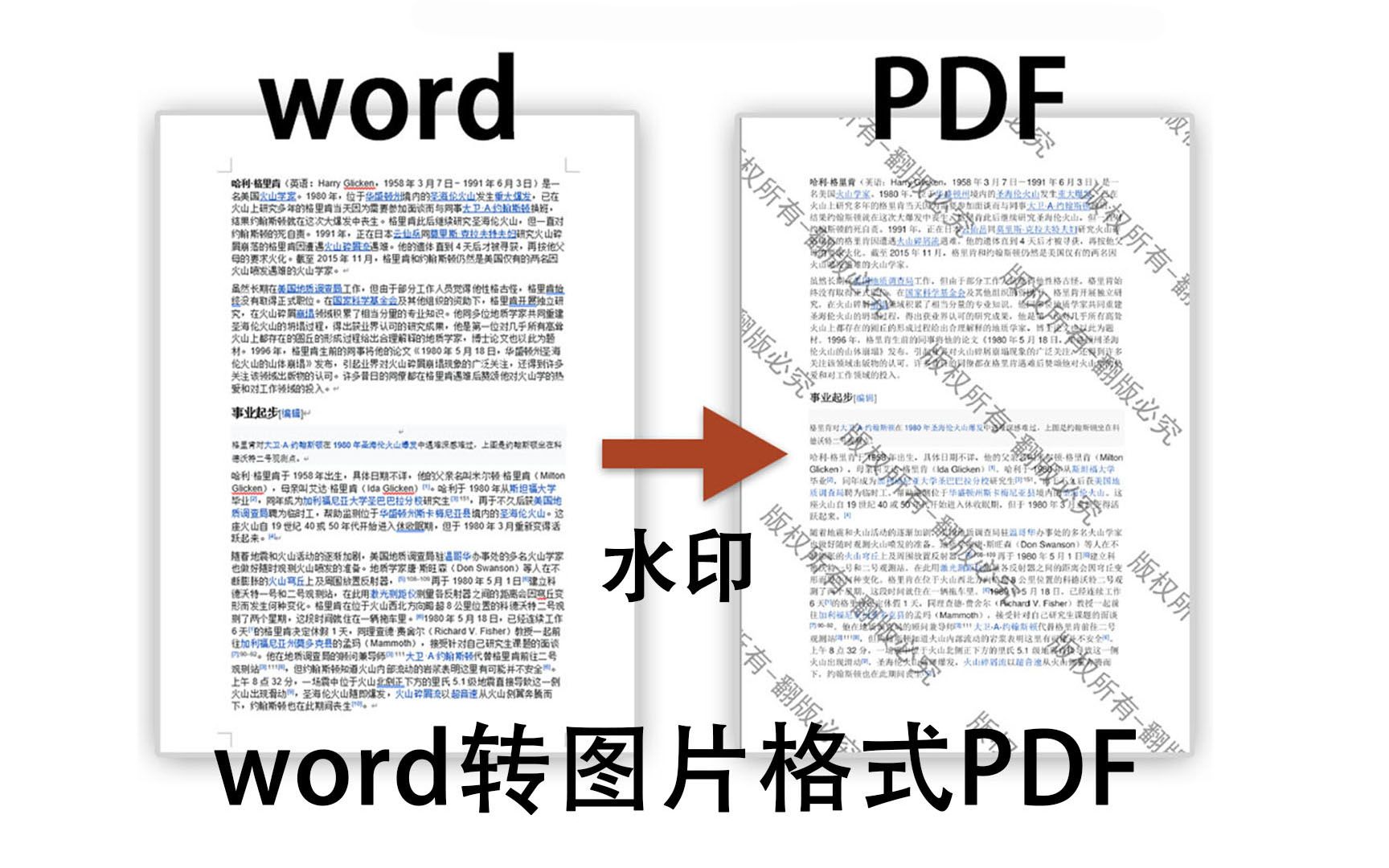 word转图片格式PDF教程 加水印版权保护word加水印 pdf加水印 不能复制PDF加密哔哩哔哩bilibili