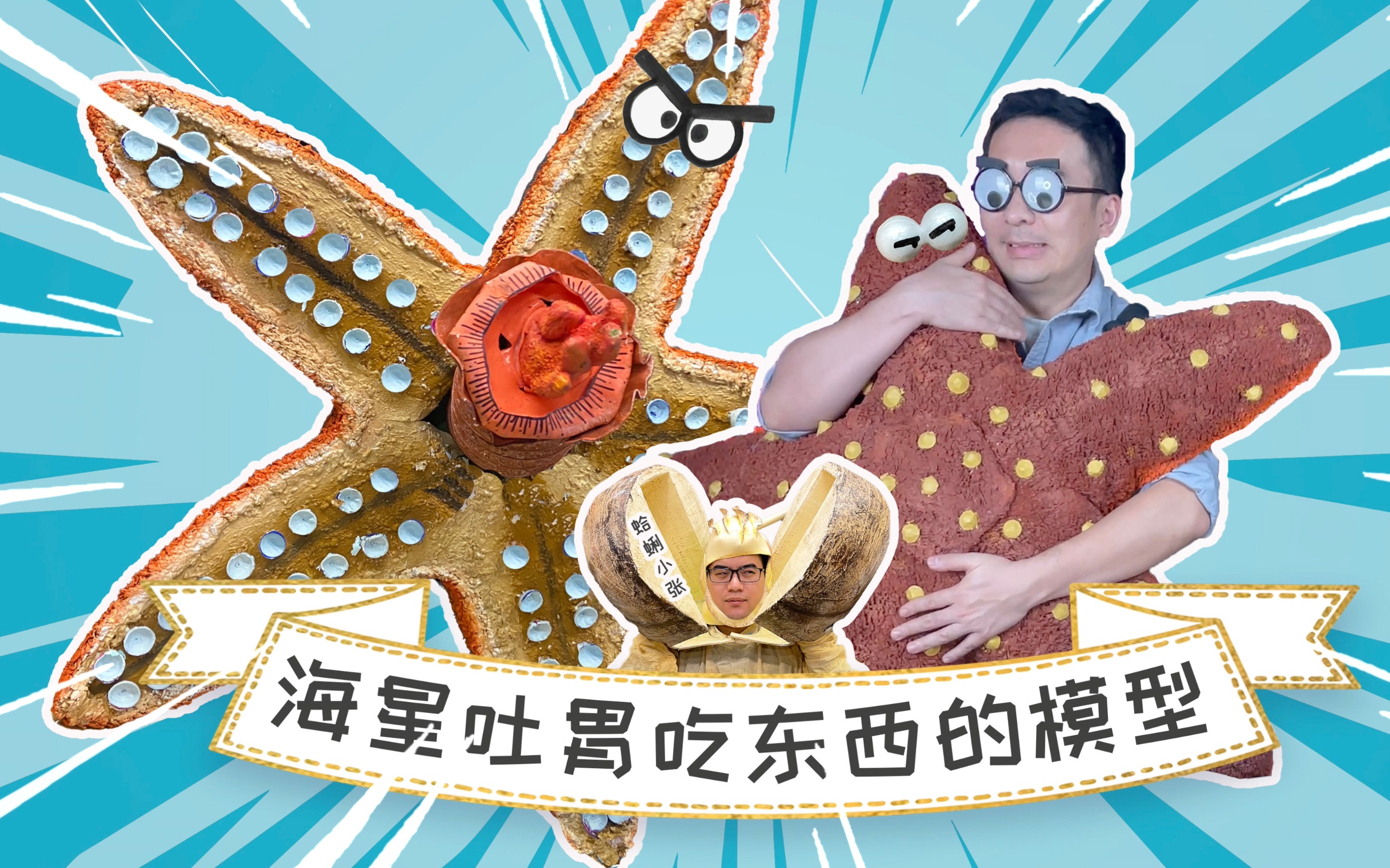 模型带你看海星吐胃吃蛤蜊_哔哩哔哩_bilibili