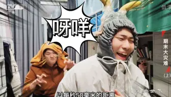 大学生如何在宿舍拍出《动物世界》