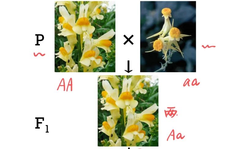 表观遗传学1哔哩哔哩bilibili