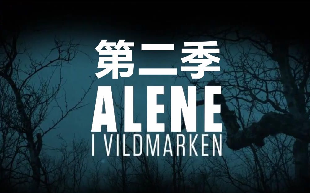 丹麦荒野独居孤独的荒野alene独行侠第二季