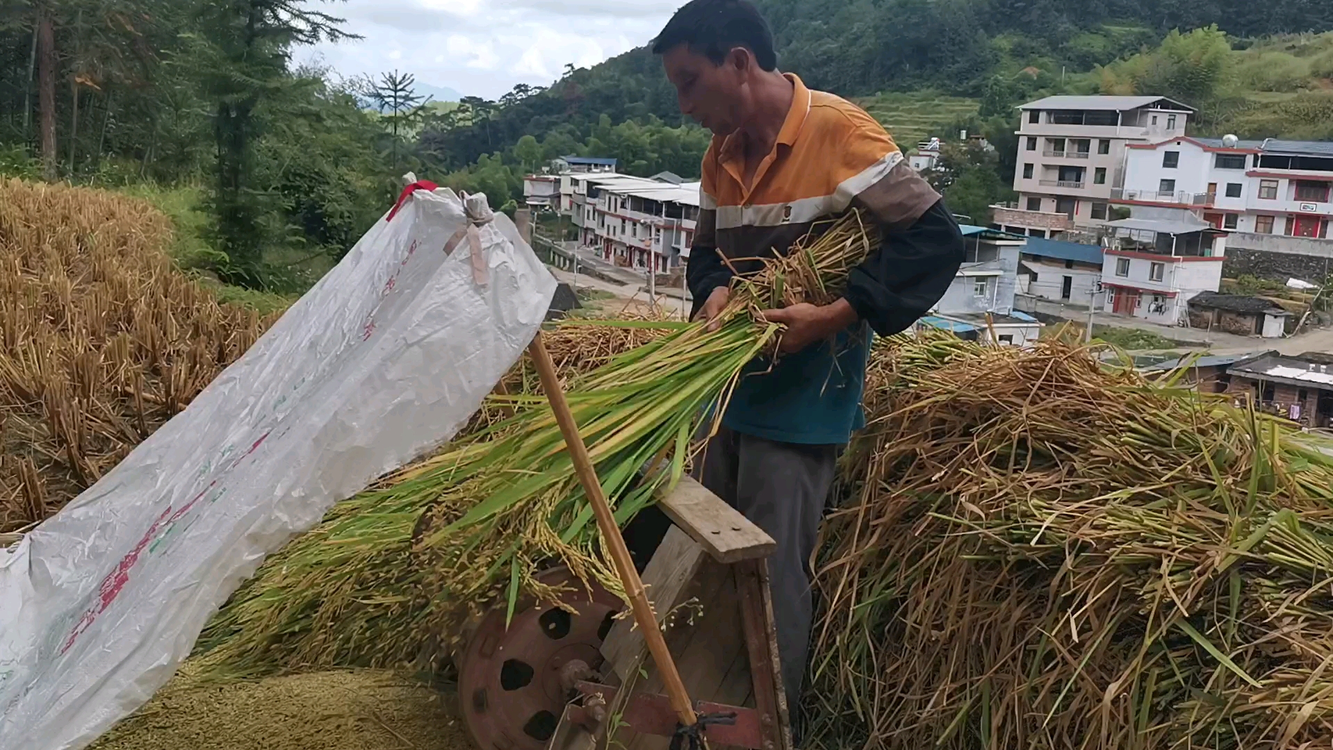 梦见自己割稻子（梦自己去割稻） 梦见本身
割稻子（梦本身
去割稻） 卜算大全