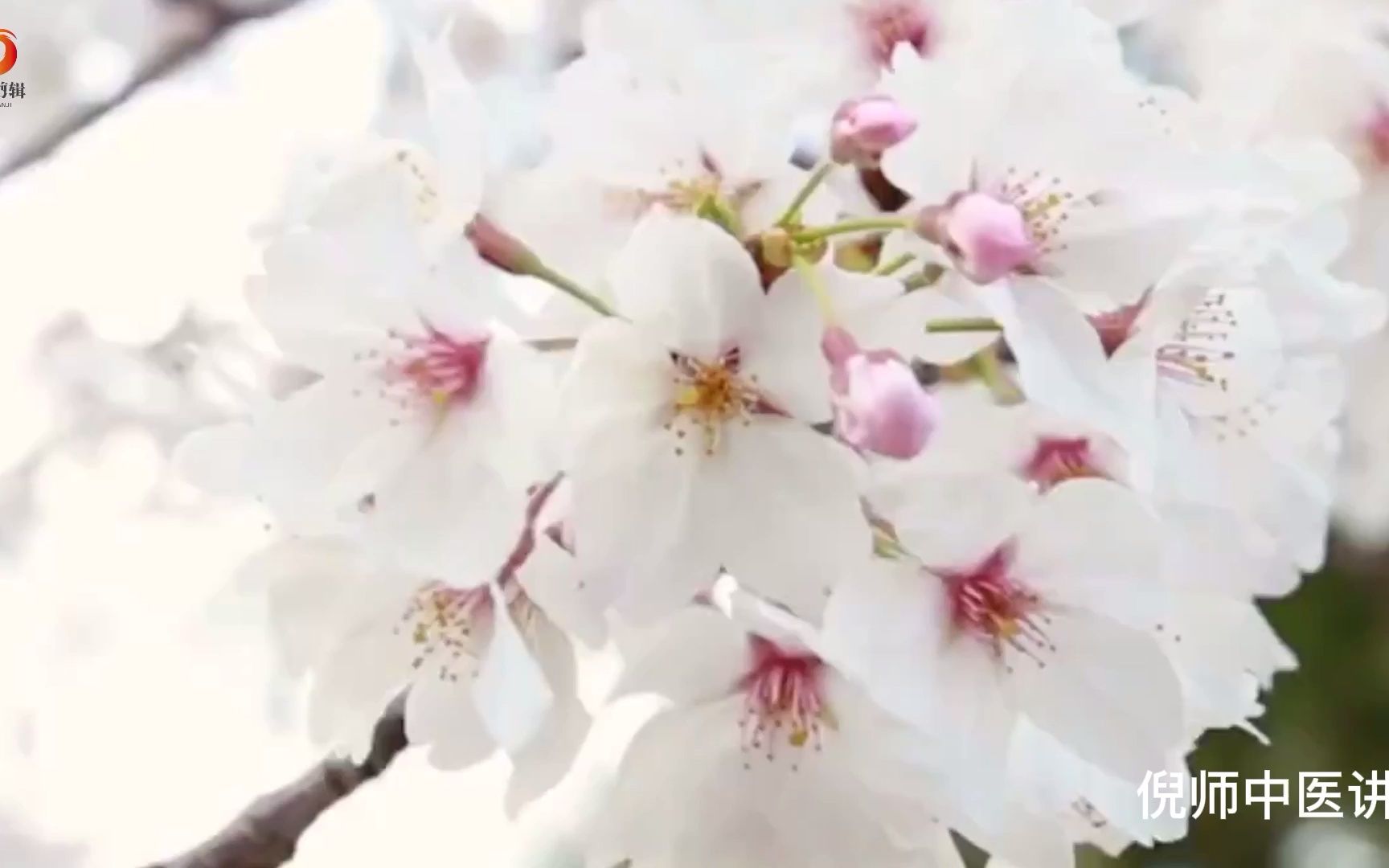 [图]梁冬对话倪海厦--倪师是怎么看待骨质疏松的