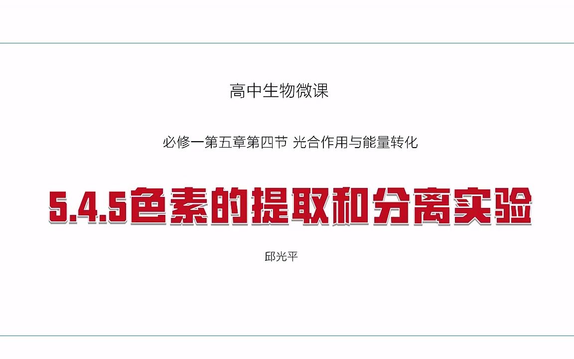 5.4.5色素的提取和分离实验哔哩哔哩bilibili