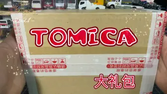 多美卡，惊  天  盗！