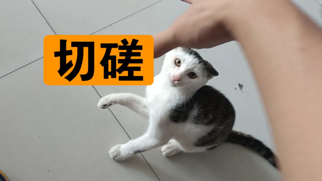 敢不敢跟我比划比划