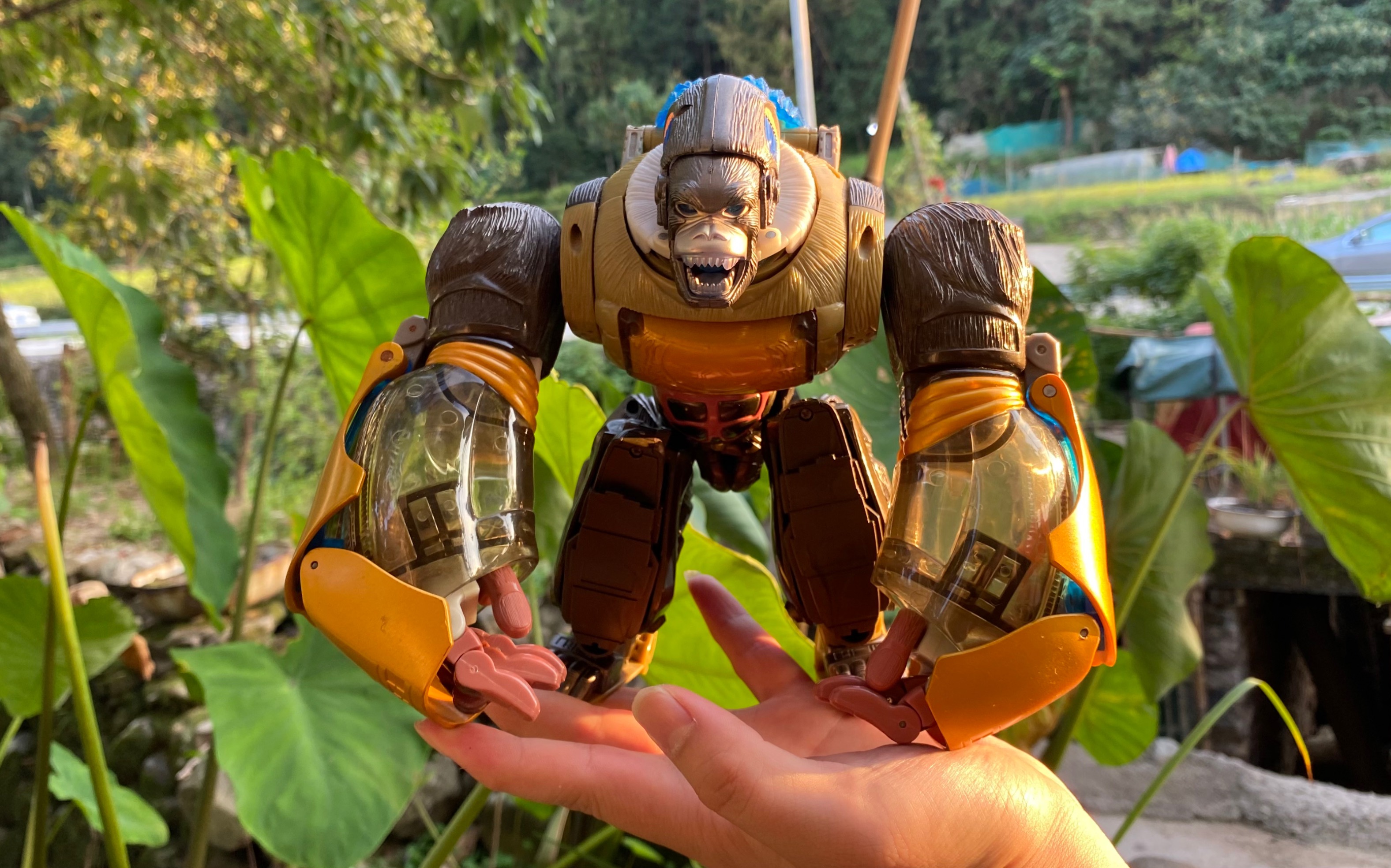 猛兽侠 bm空袭猩猩