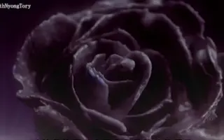 和音王子 搜索结果 哔哩哔哩 Bilibili