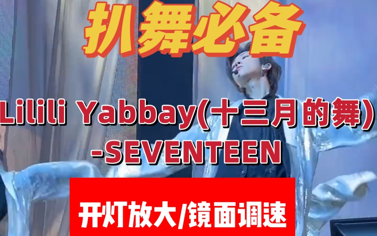 [图]【扒舞必备】Lilili Yabbay(十三月的舞) THE8徐明浩位-SEVENTEEN镜面/变速/调色/开灯