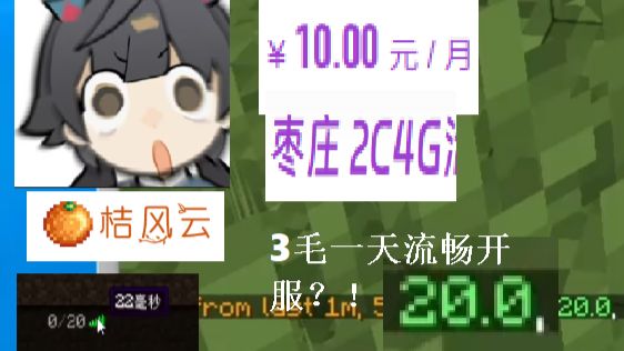 tps全满?!10元一个月?!优质2-4 mc服务器!质量和价格的版本答案!使用vps轻松上云!