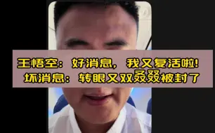 Download Video: 王悟空：好消息，我又复活啦！坏消息：转眼又双叒叕被封了